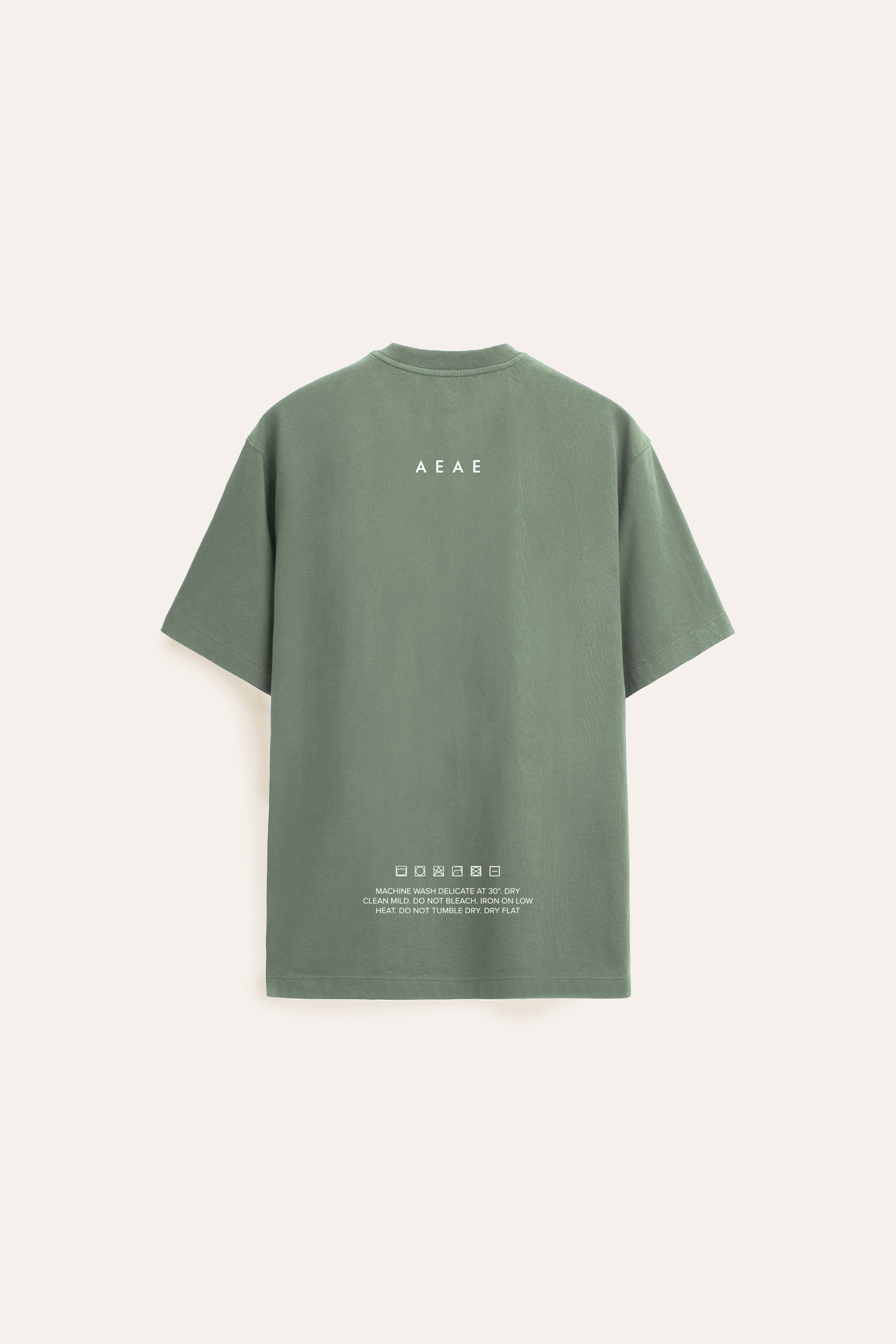 sage green oversized, unisex t-shirt, minimal, 250gsm organic cotton, made to last, sustainable fashion.